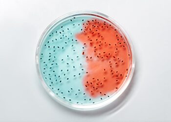 Featured image for: How AI is Revolutionizing Pathology and Laboratory Medicine