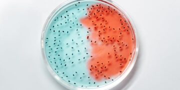 Featured image for: How AI is Revolutionizing Pathology and Laboratory Medicine